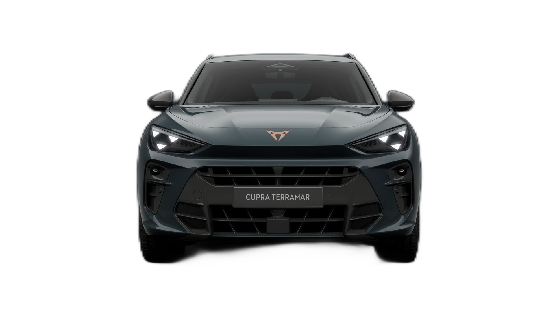 Cupra Terramar — front