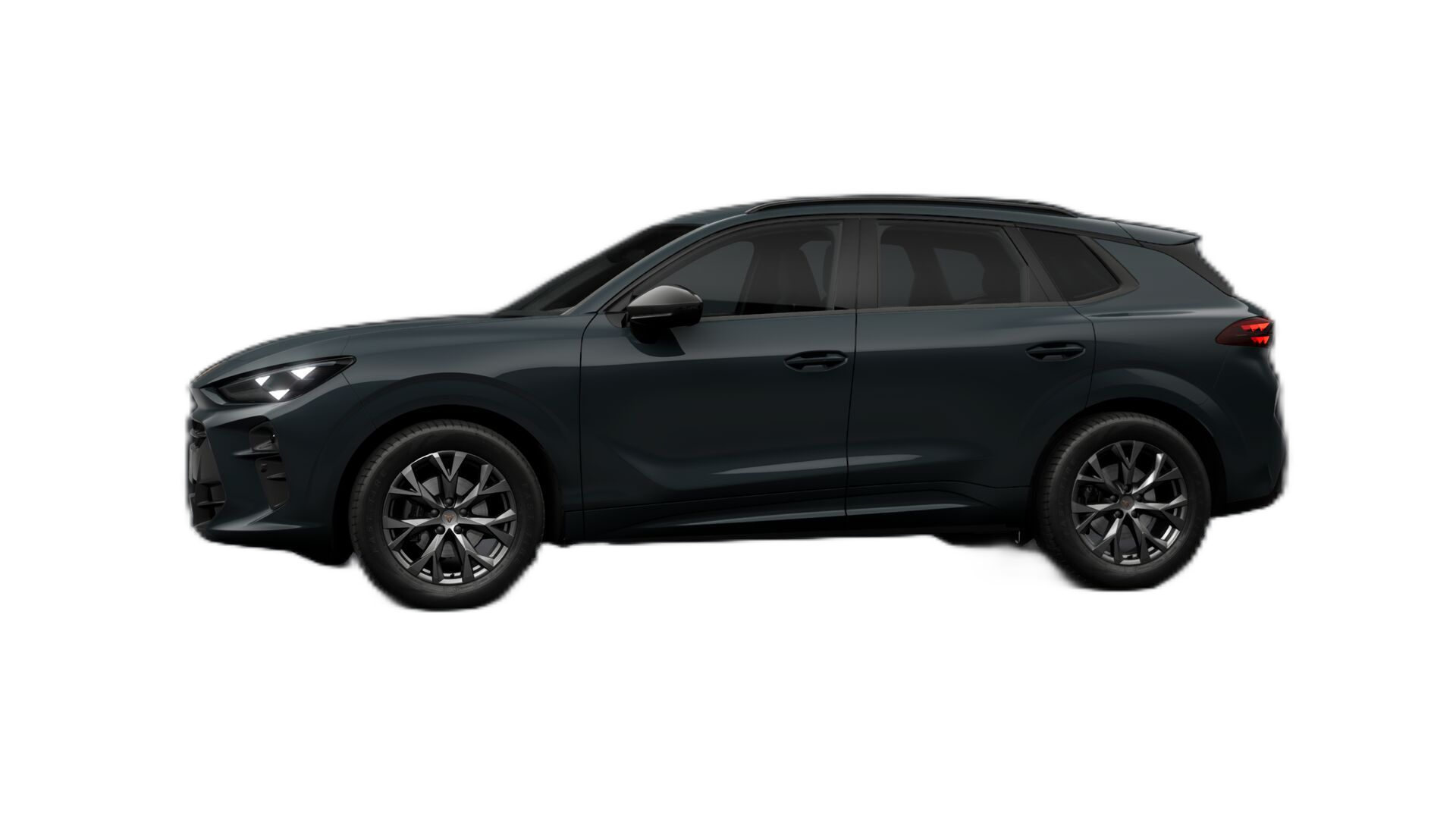 Cupra Terramar — side